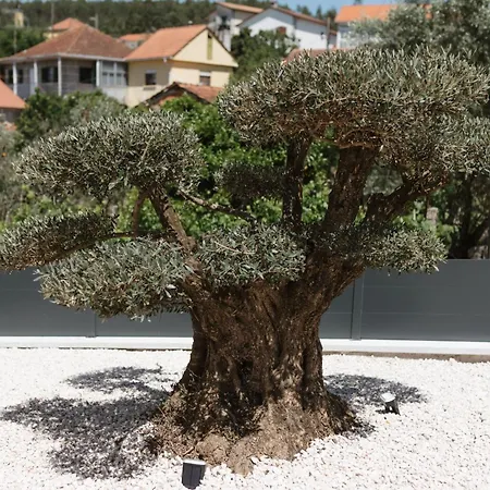빌라 Ahcor Housing - Quinta Do Paco Figueiredo de Alva