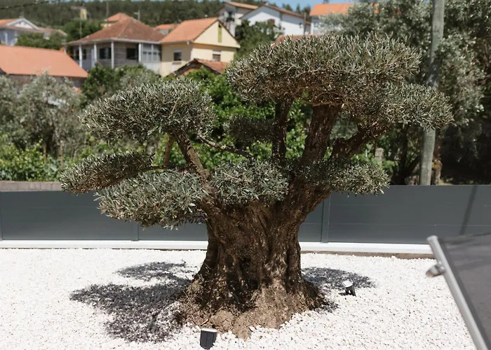 Villa Ahcor Housing - Quinta Do Paco Figueiredo de Alva